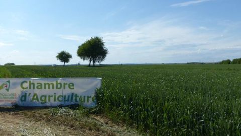 © A.Cassigneul/GFA © A.Cassigneul/GFA